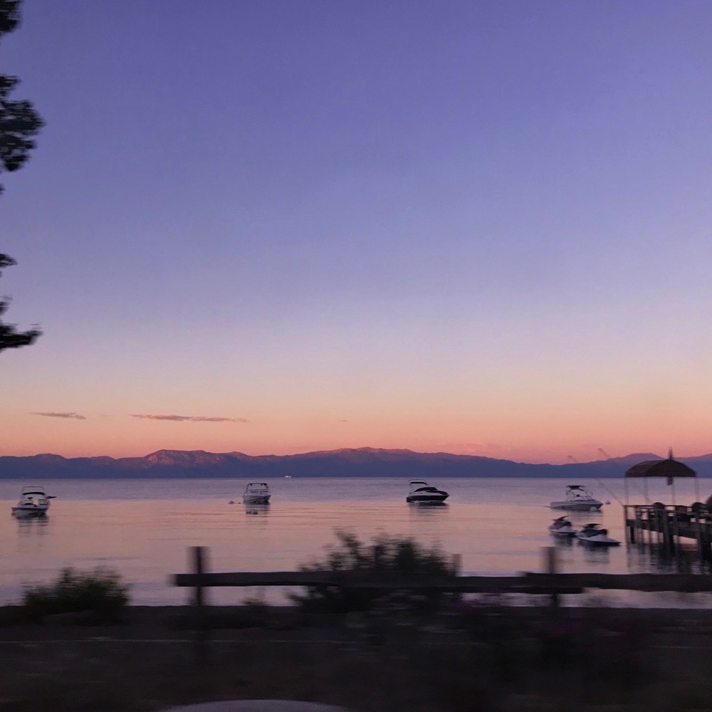 Meet your Posher, Dominique